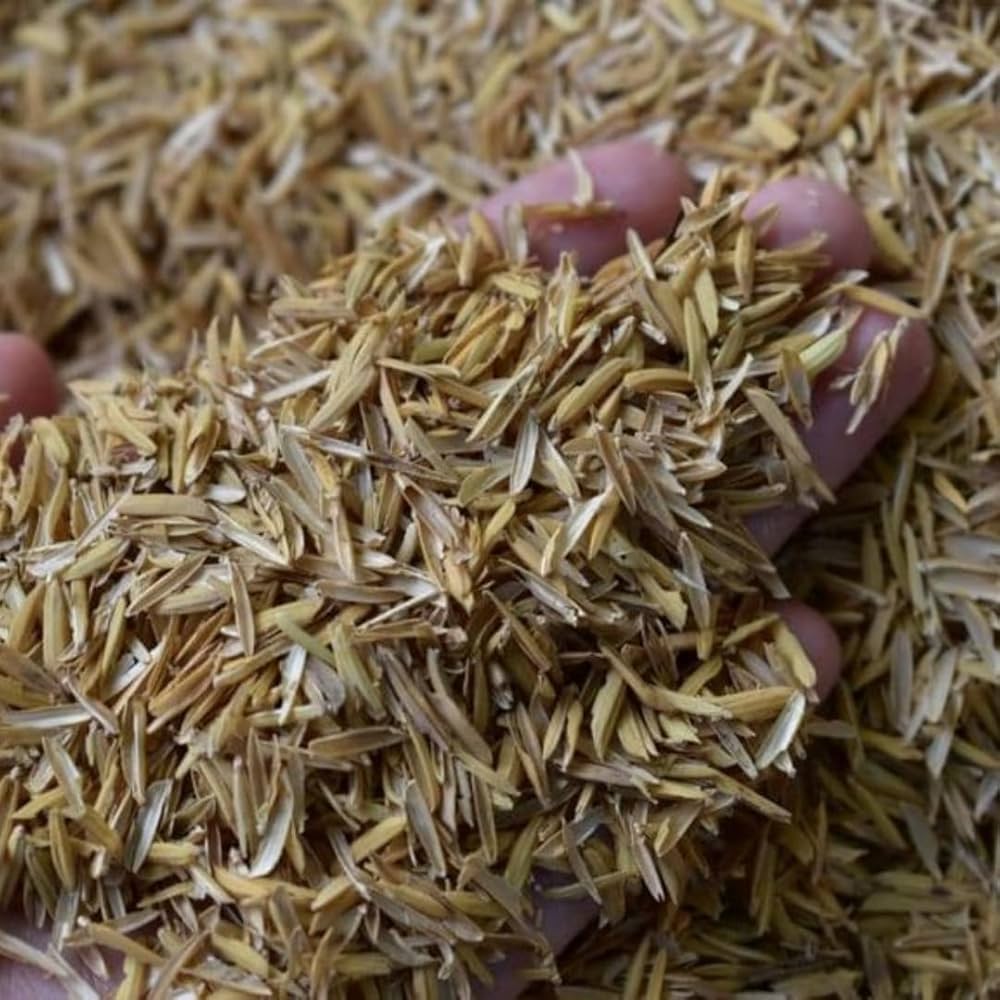 Rice Husk / Bran